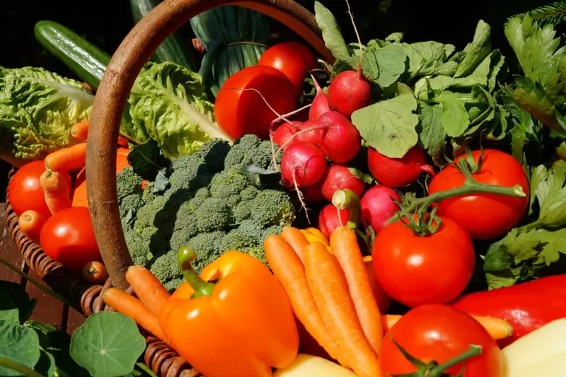 Panier garni de légumes frais, tomates, radis, brocolis, carottes, poivrons, salades, concombres. Un vrai régal du marché de Reillanne.